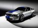 Shelby Shelby Cobra GT500KR Picture #20